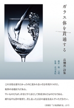 高炯烈詩集『ガラス体を貫通する』