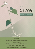 hayami_web