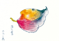 otiba