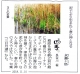 181110読売新聞『三日月湖』