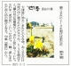 210302読売新聞『泥天使』『龍宮』