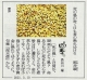 210310読売新聞『泥天使』『龍宮』